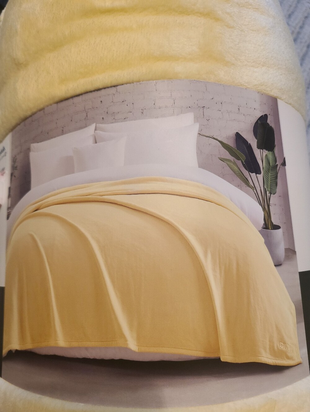 DKNY Soft Plush Blanket